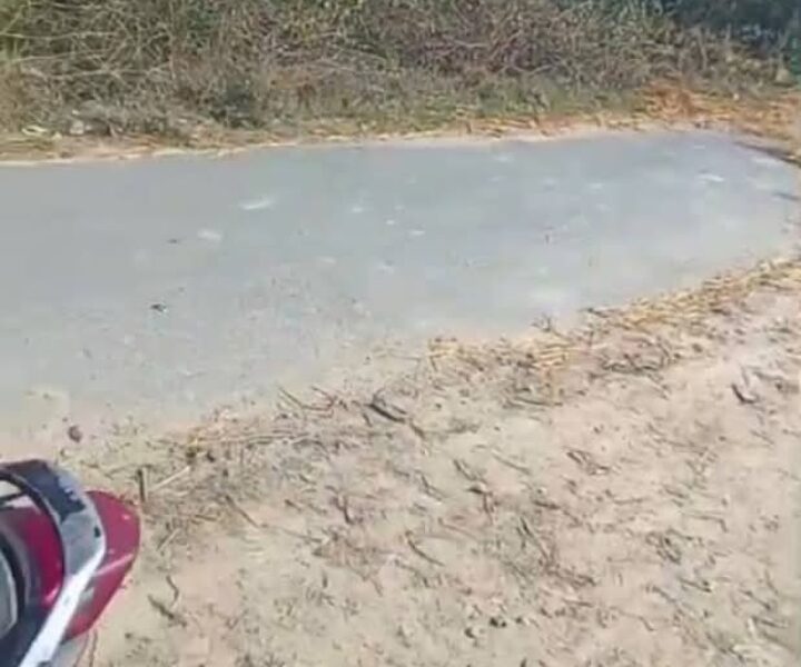 Agriculture land in maitha tehsil