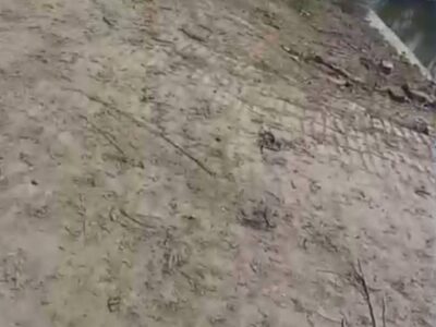 Agriculture land in maitha tehsil