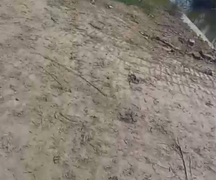 Agriculture land in maitha tehsil