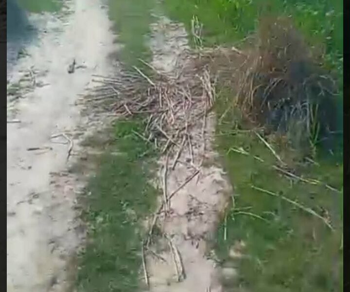 Agriculture land in maitha tehsil